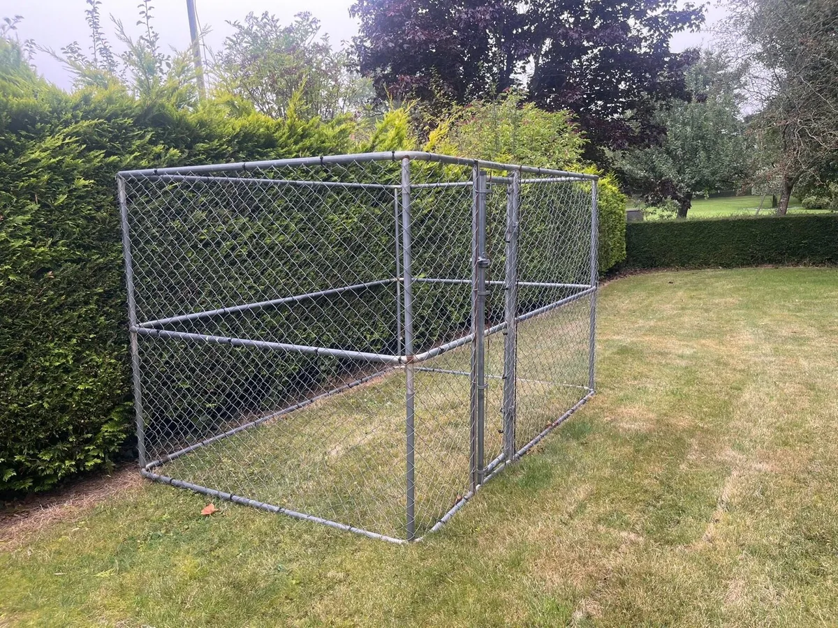Dog Run - Image 1