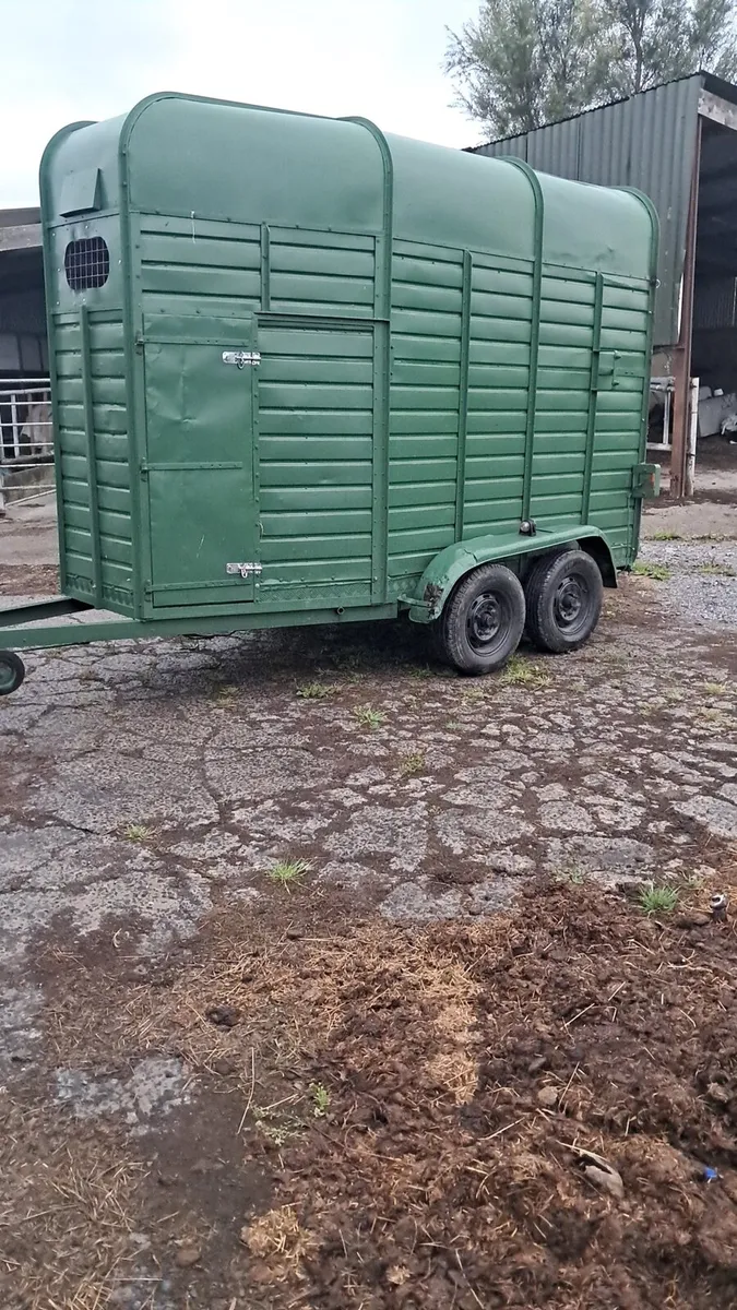 Single horse box - Image 2