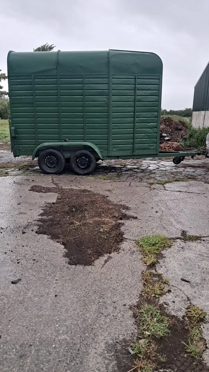 Single horse box - Image 3