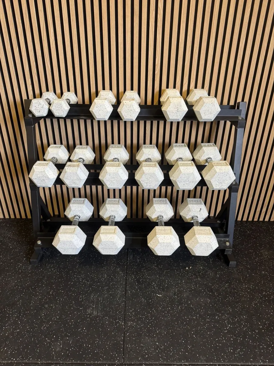 2-20KG hex WHITE DUMBBELS and rack NEW IN BOX - Image 3