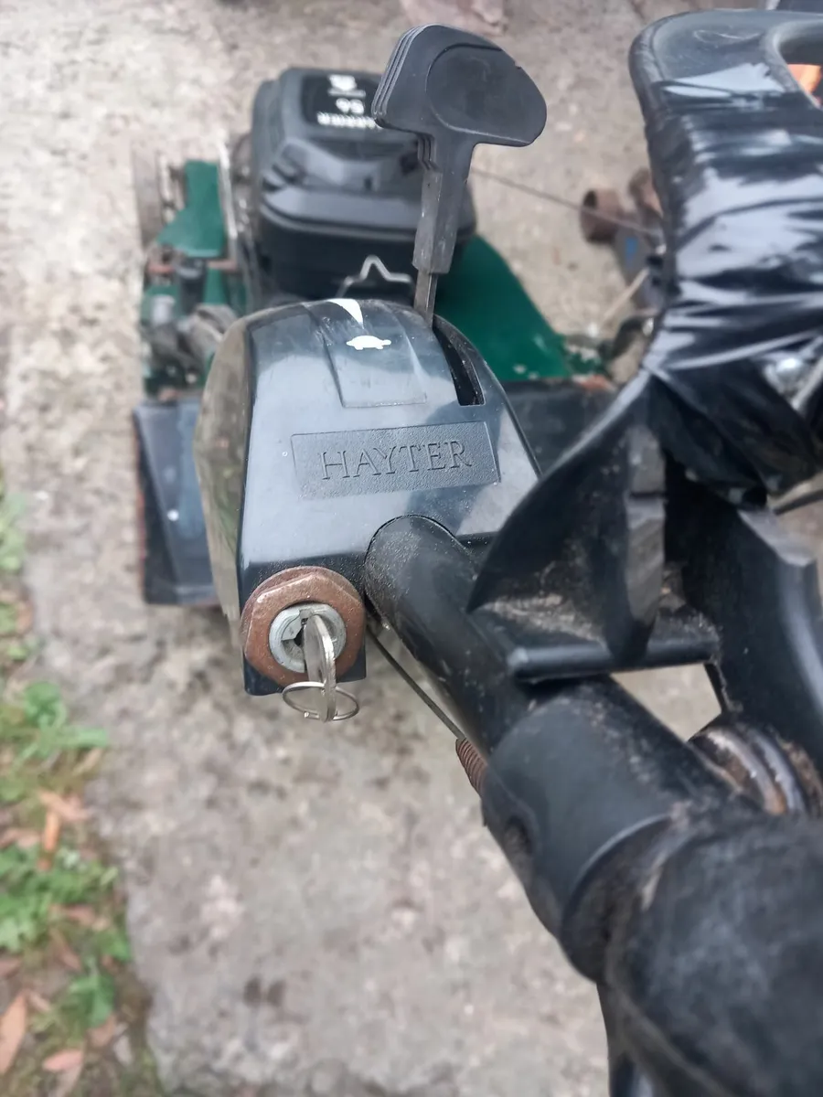 Lawnmower - Image 2