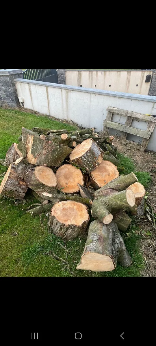 Timber - Image 1