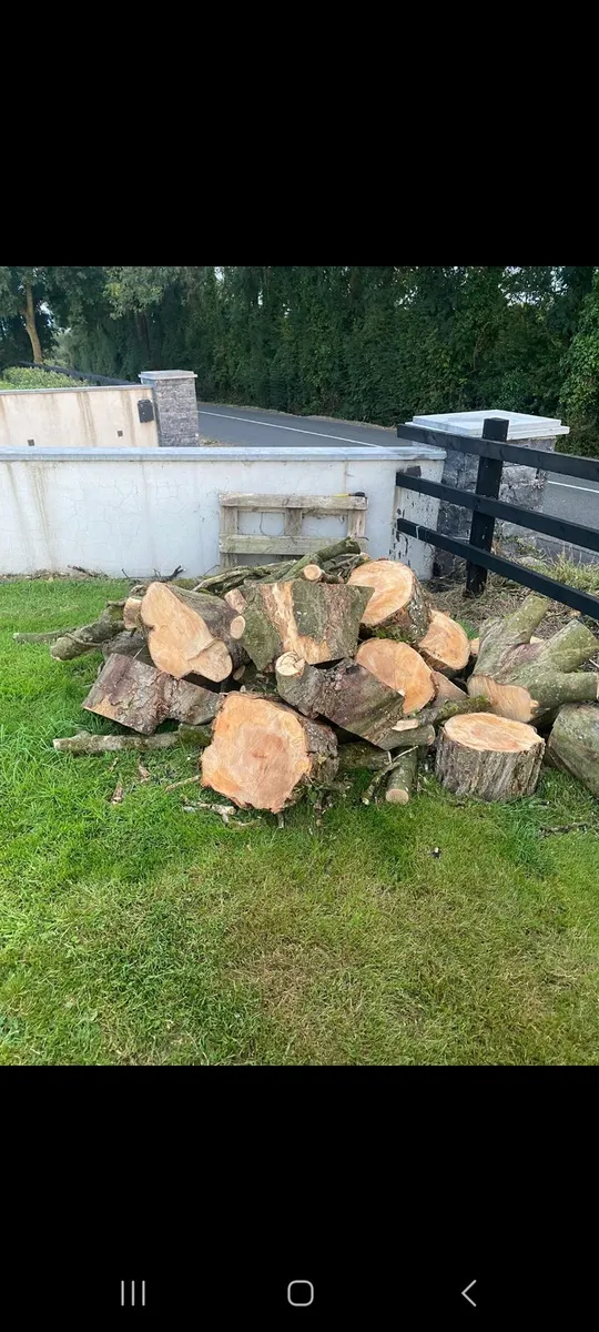 Timber - Image 2