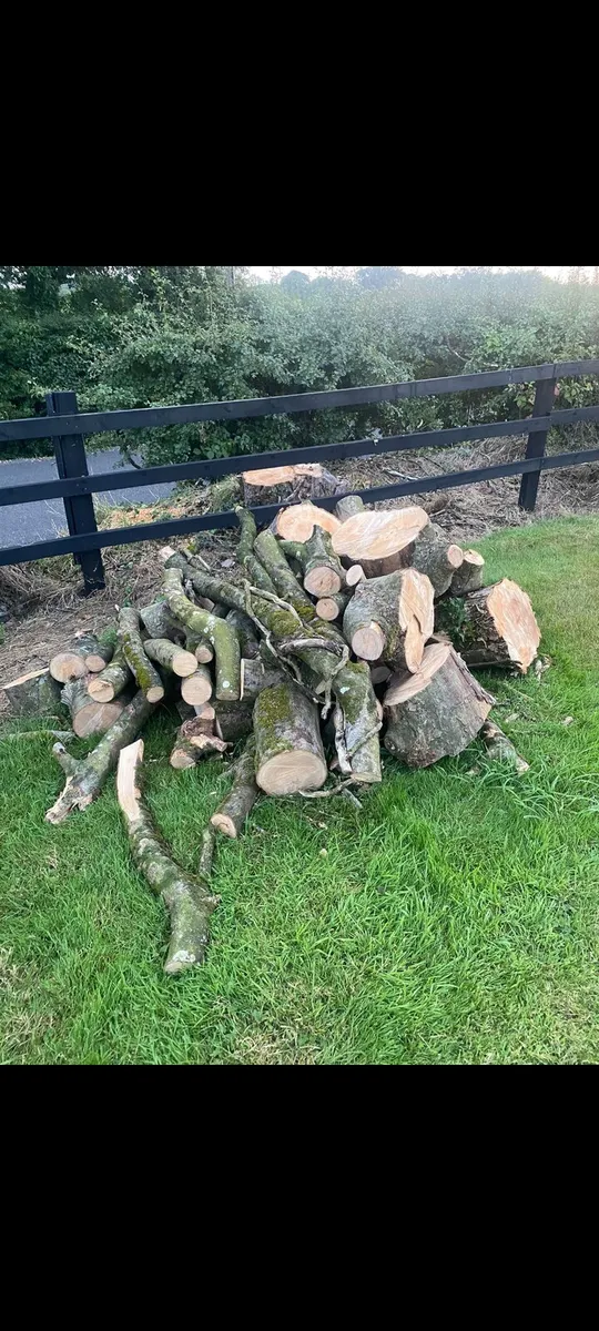 Timber - Image 3