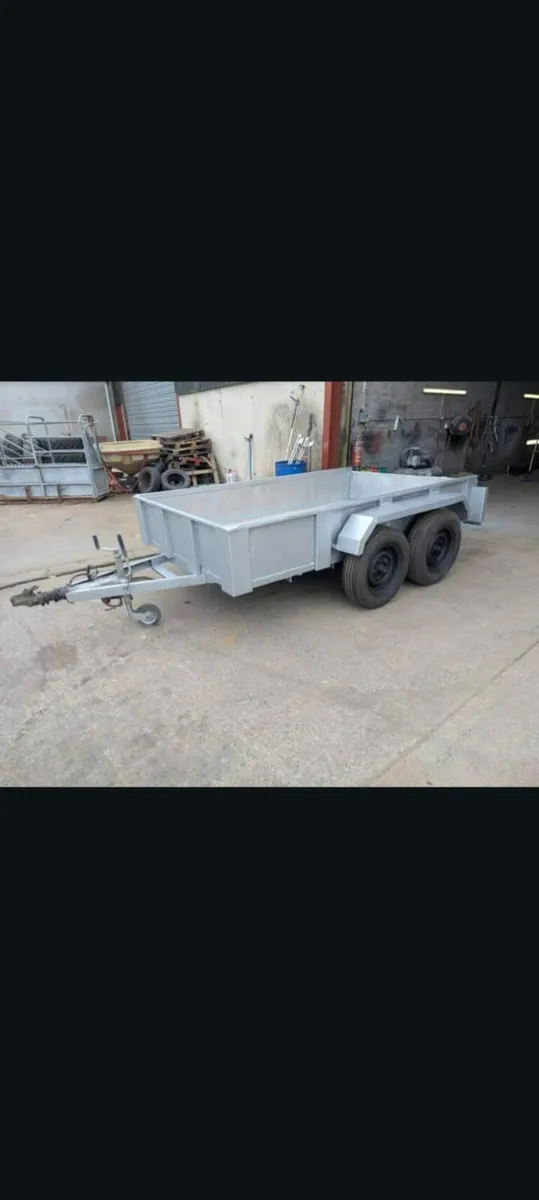 10x6 plant trailer - Image 2
