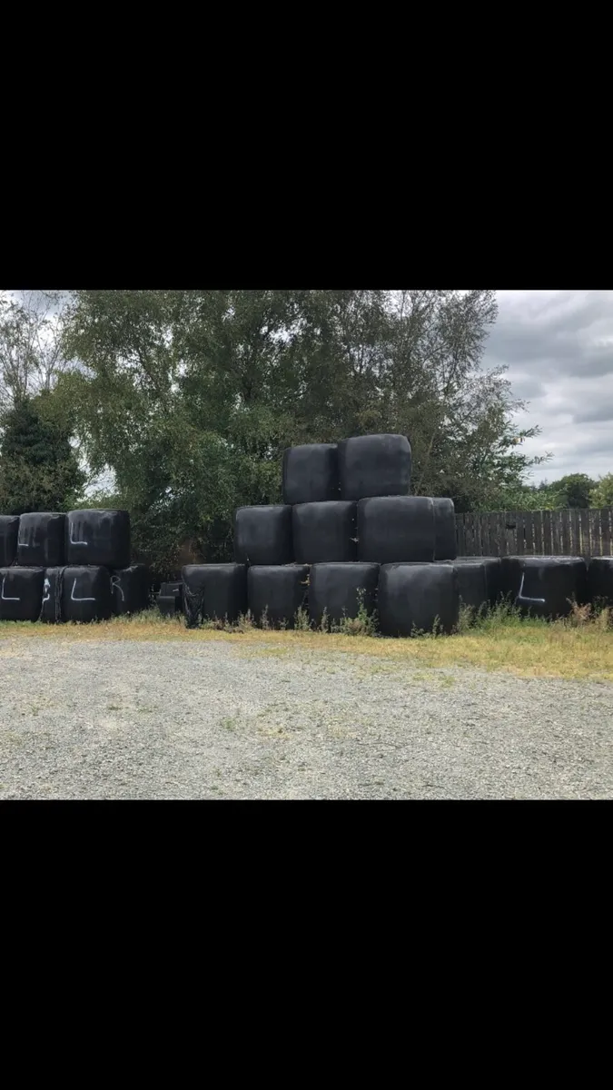 Haylage Bales