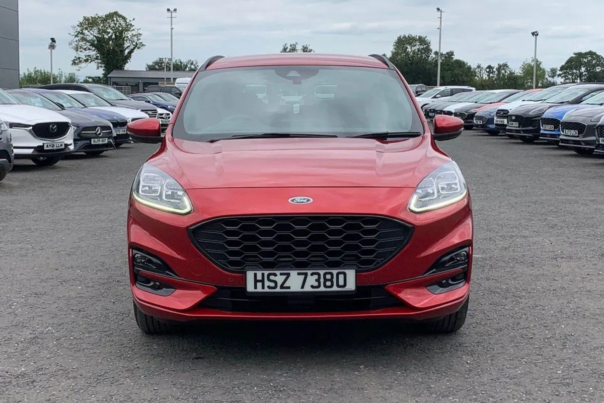 Ford Kuga 2.5h 190PS Fhev St-line Edition in Luci - Image 4