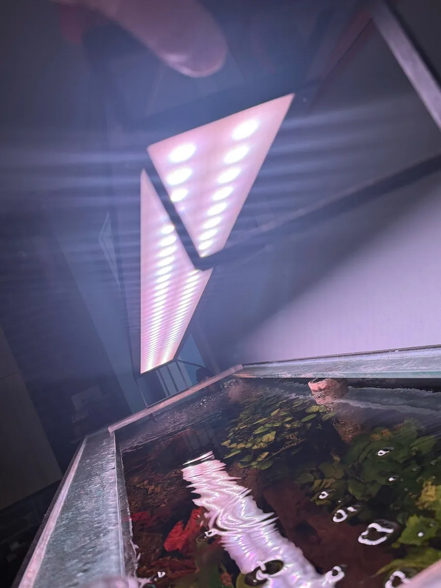 Fish Tank - Image 3