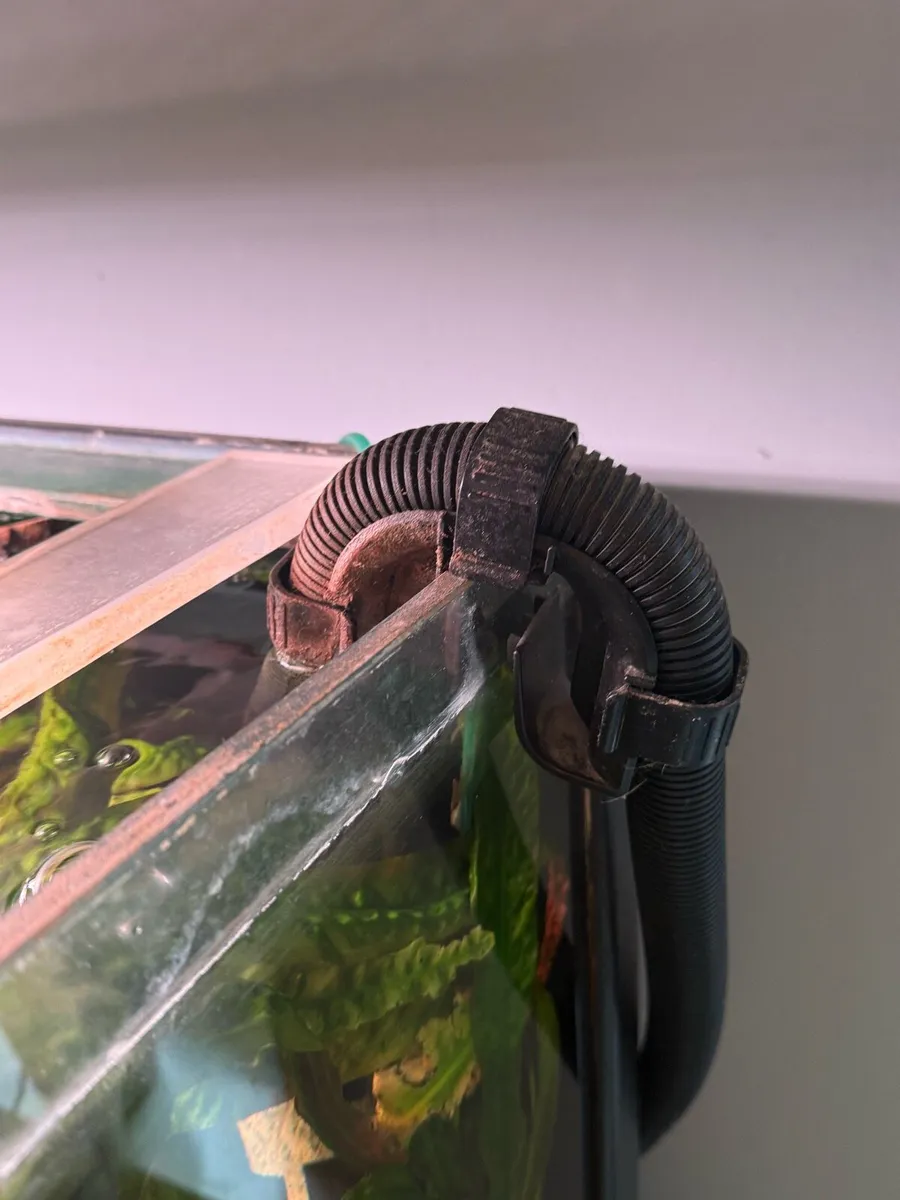 Fish Tank - Image 4