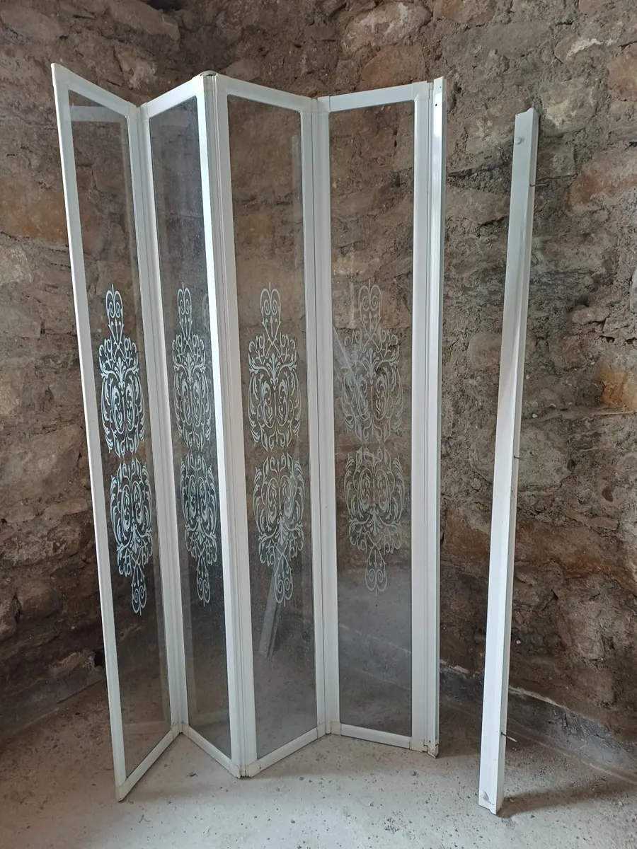 Shower Door