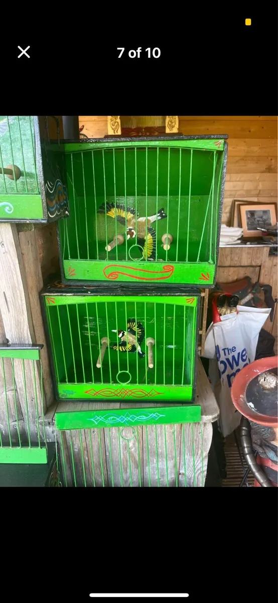 Mule cages - Image 4