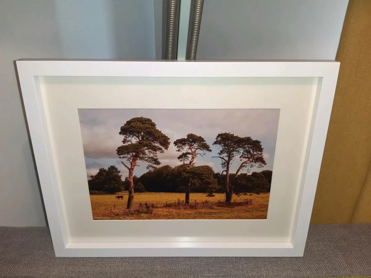 Ballintubber, Carrigtwohill - Image 2