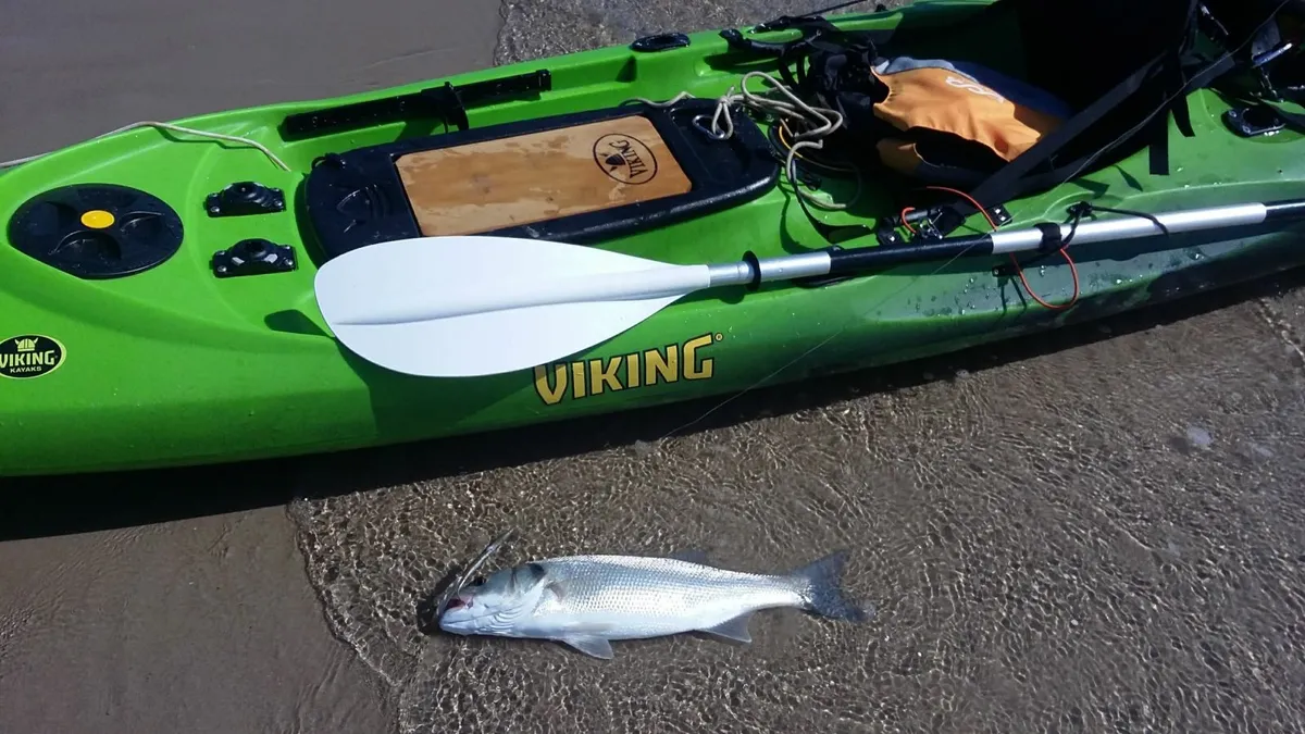 Fishing kayak - Image 3