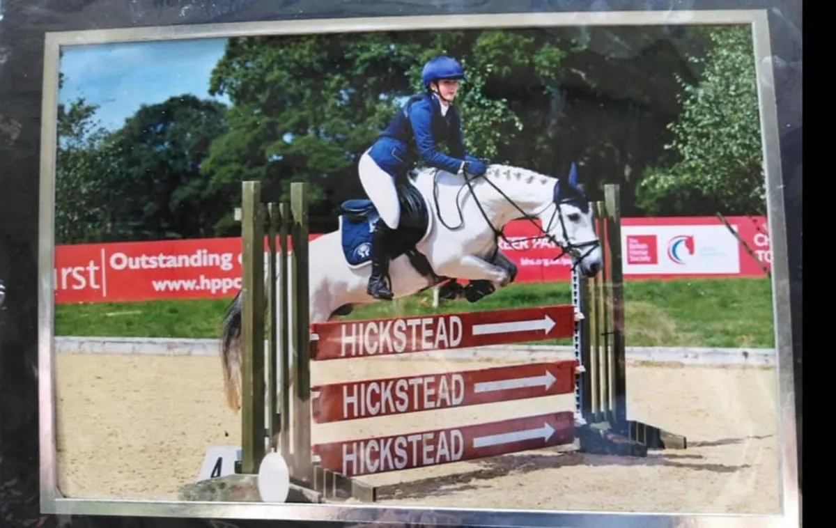 148cm Connemara gelding true allrounder🦄 - Image 1