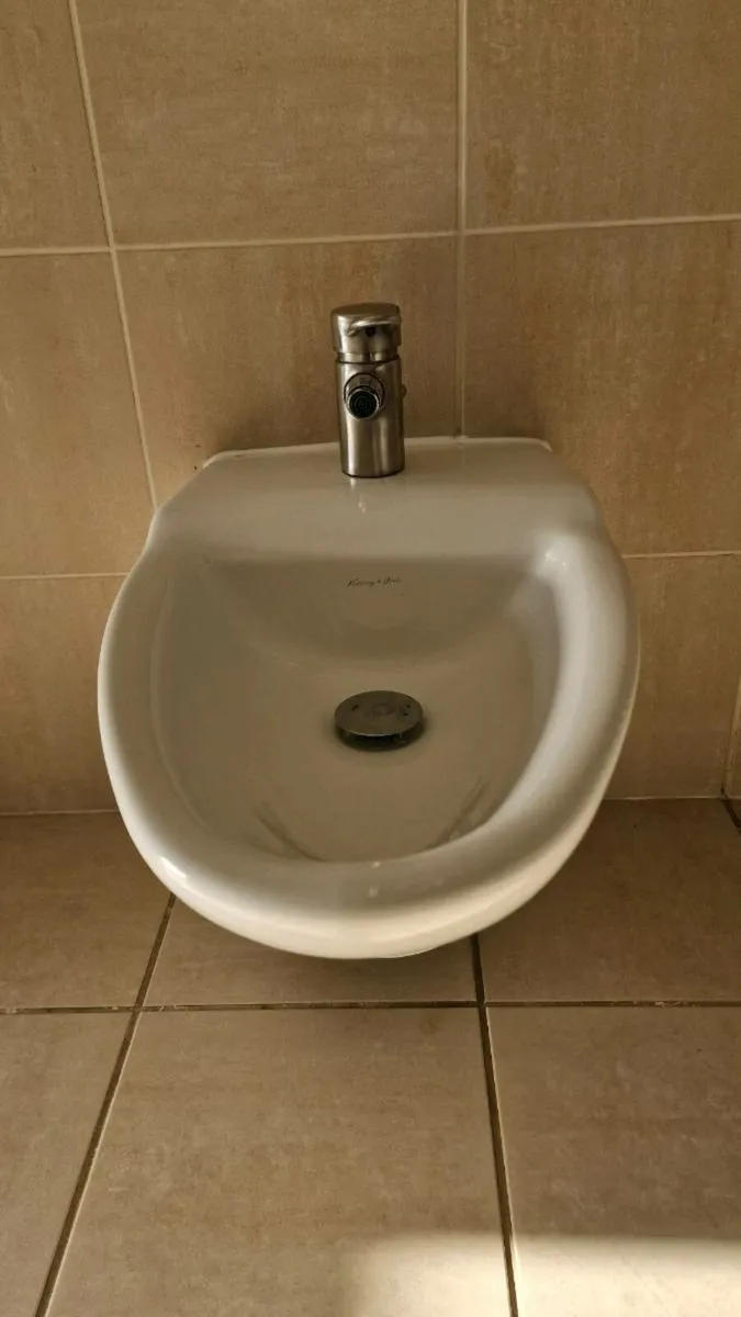Villeroy & Boch Sinks & Toilet - Image 4