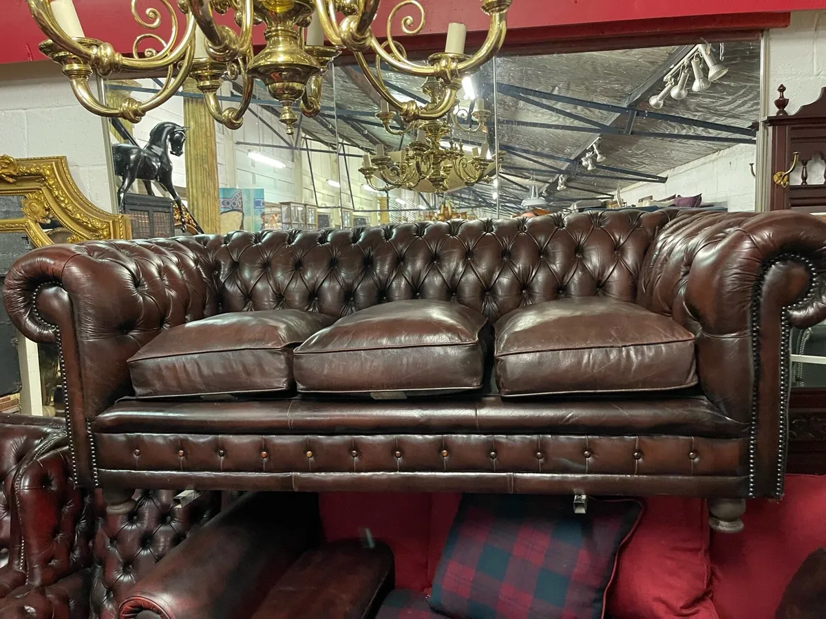 Chocolate 🍫 brown leather chesterfield - Image 2
