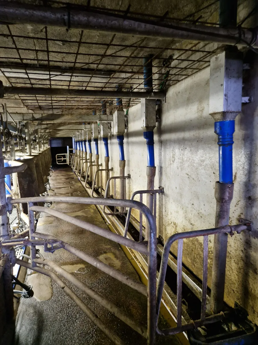 Deleval Milking parlour - Image 2