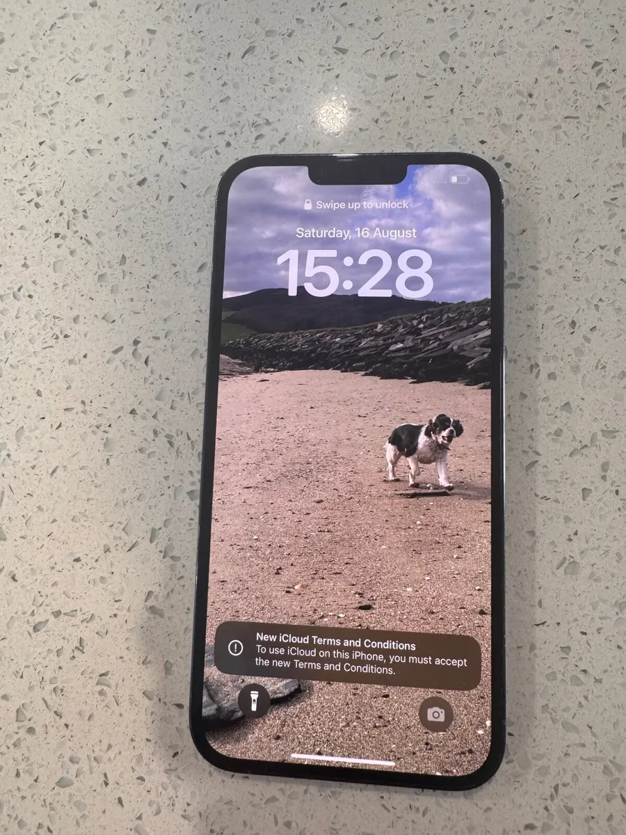 iPhone 13 Pro Max - Image 4