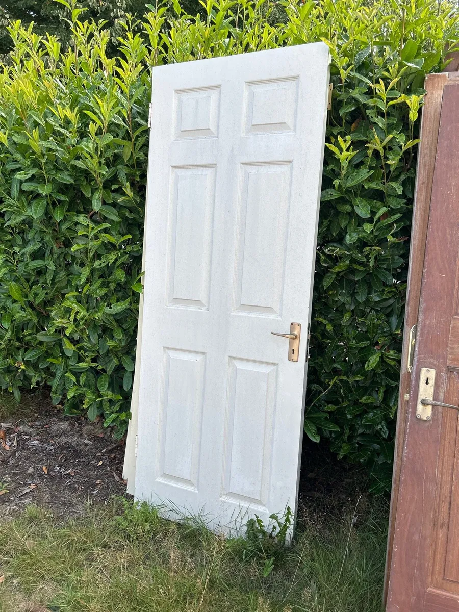 Internal doors - Image 2