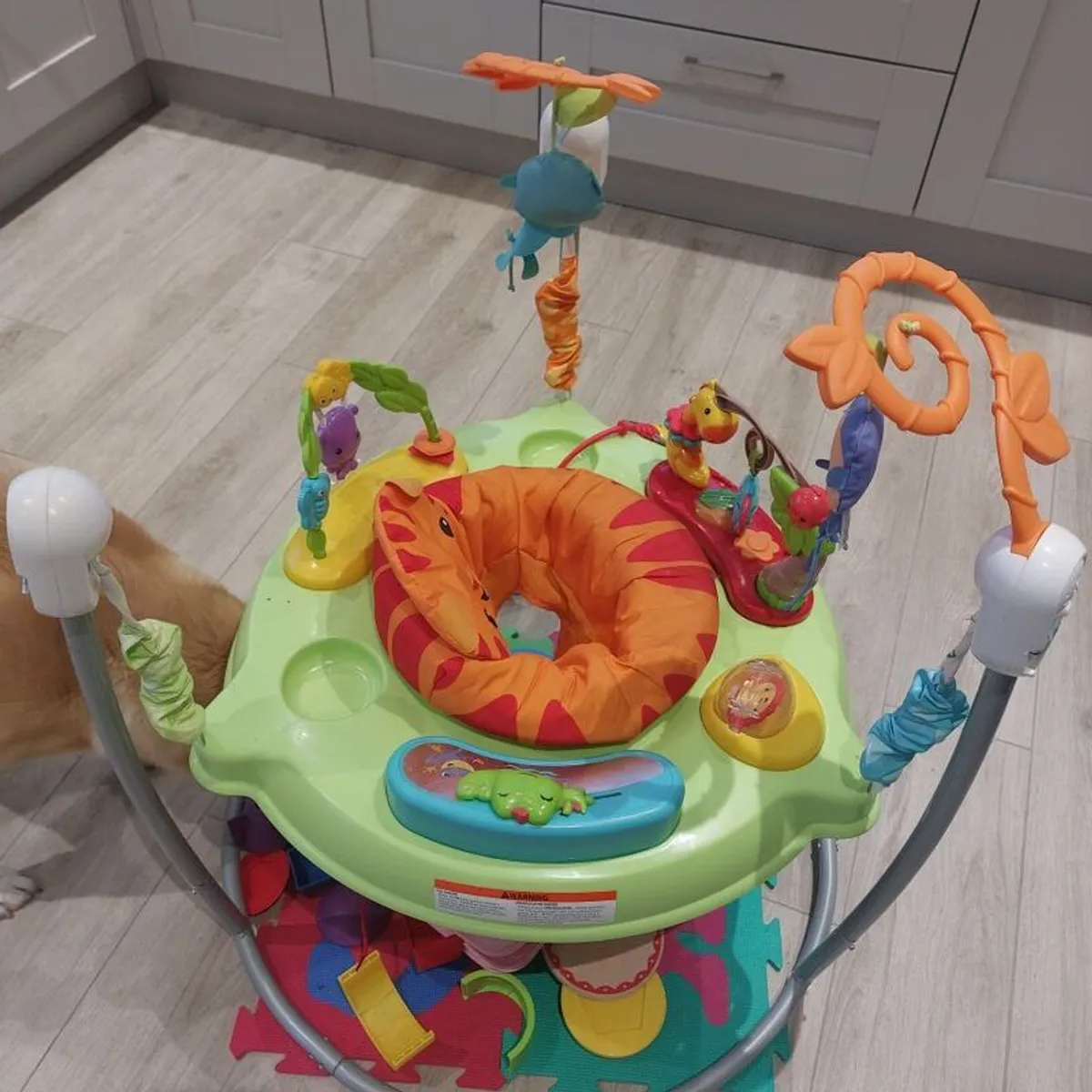 baby bouncer jumparoo