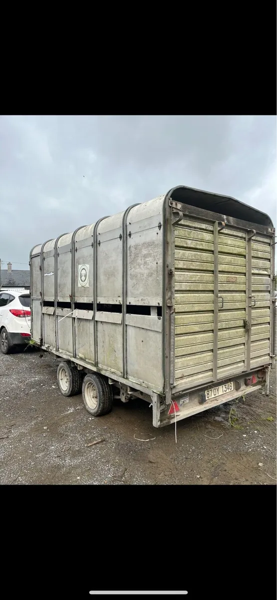Cattle Trailer Ifor Williams - Image 1