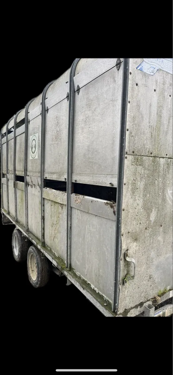 Cattle Trailer Ifor Williams - Image 2