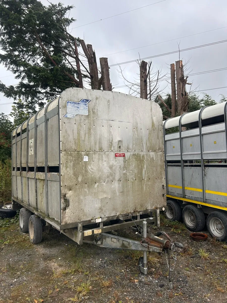 Cattle Trailer Ifor Williams - Image 3