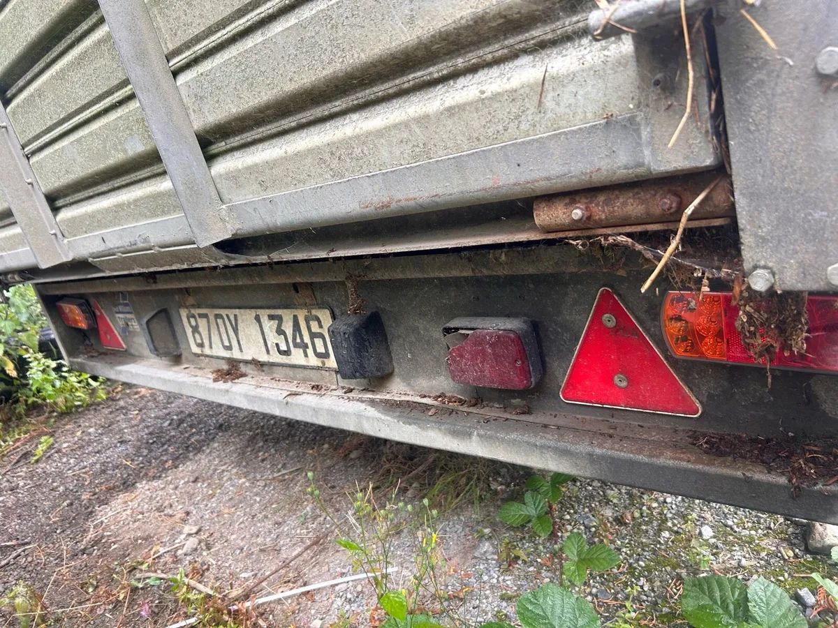 Cattle Trailer Ifor Williams - Image 4