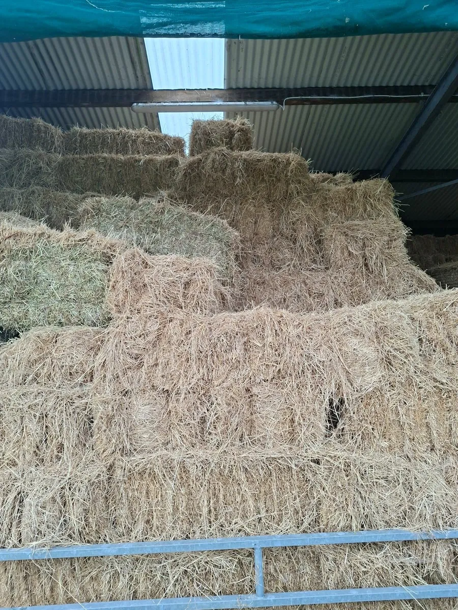 Hay - Image 1