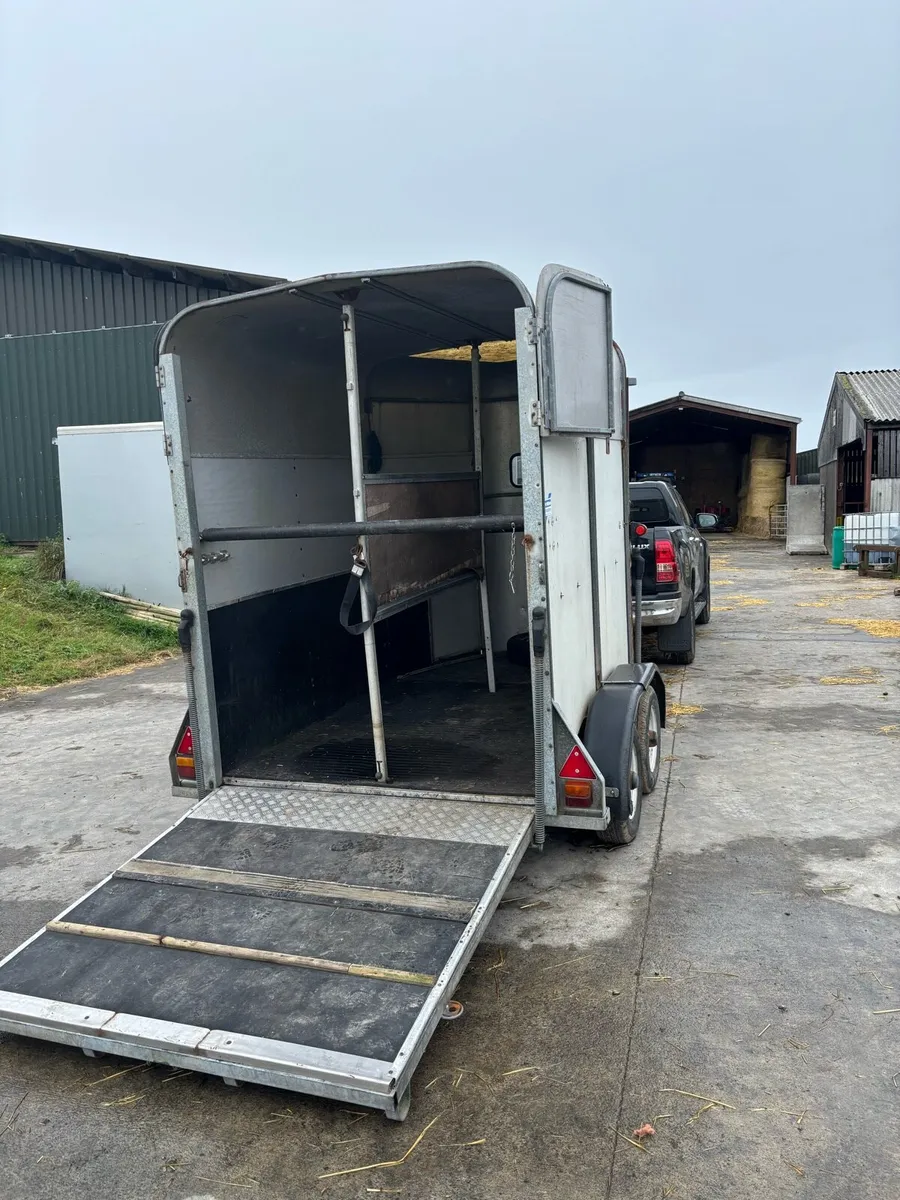 Iforwilliams 505 horse box - Image 3