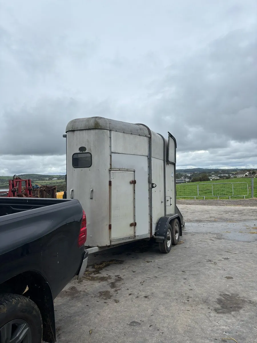Iforwilliams 505 horse box - Image 4