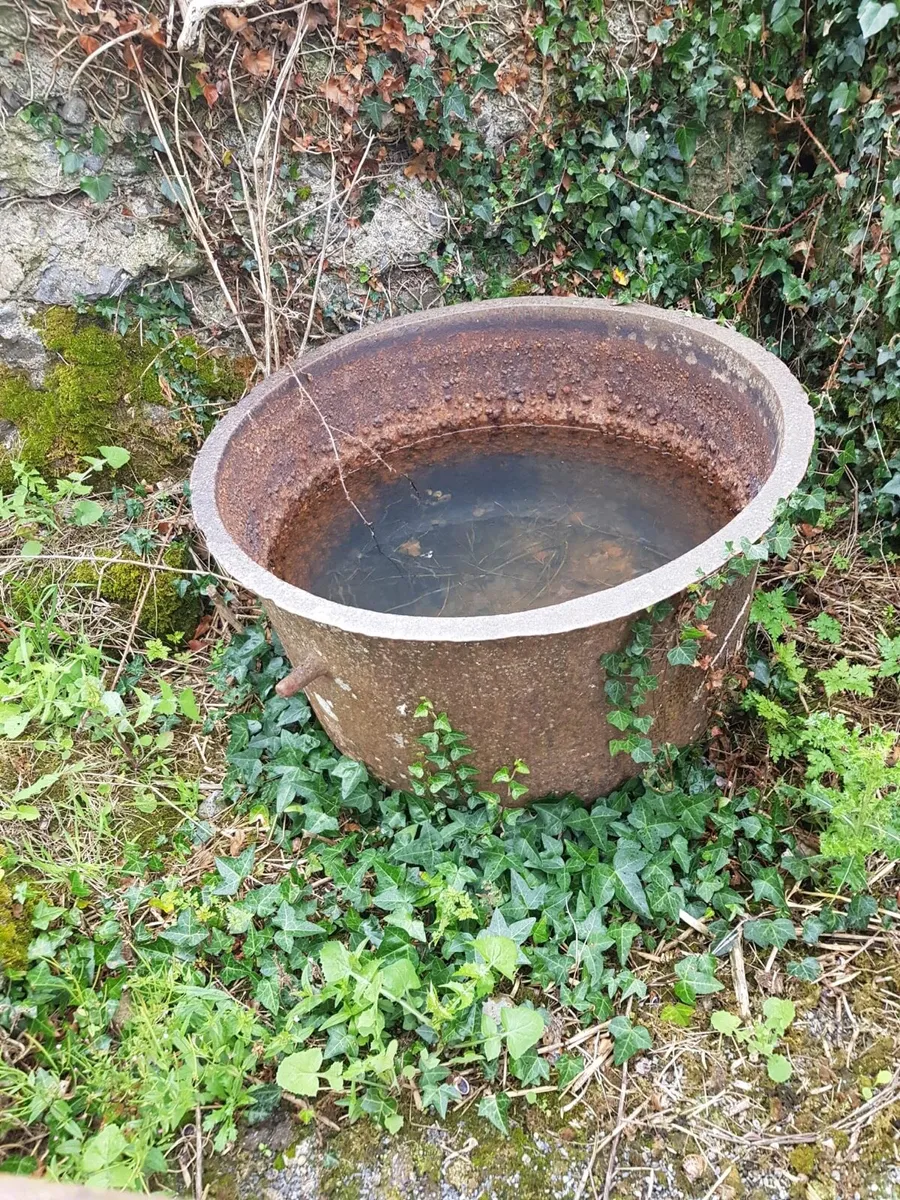 Famine pot