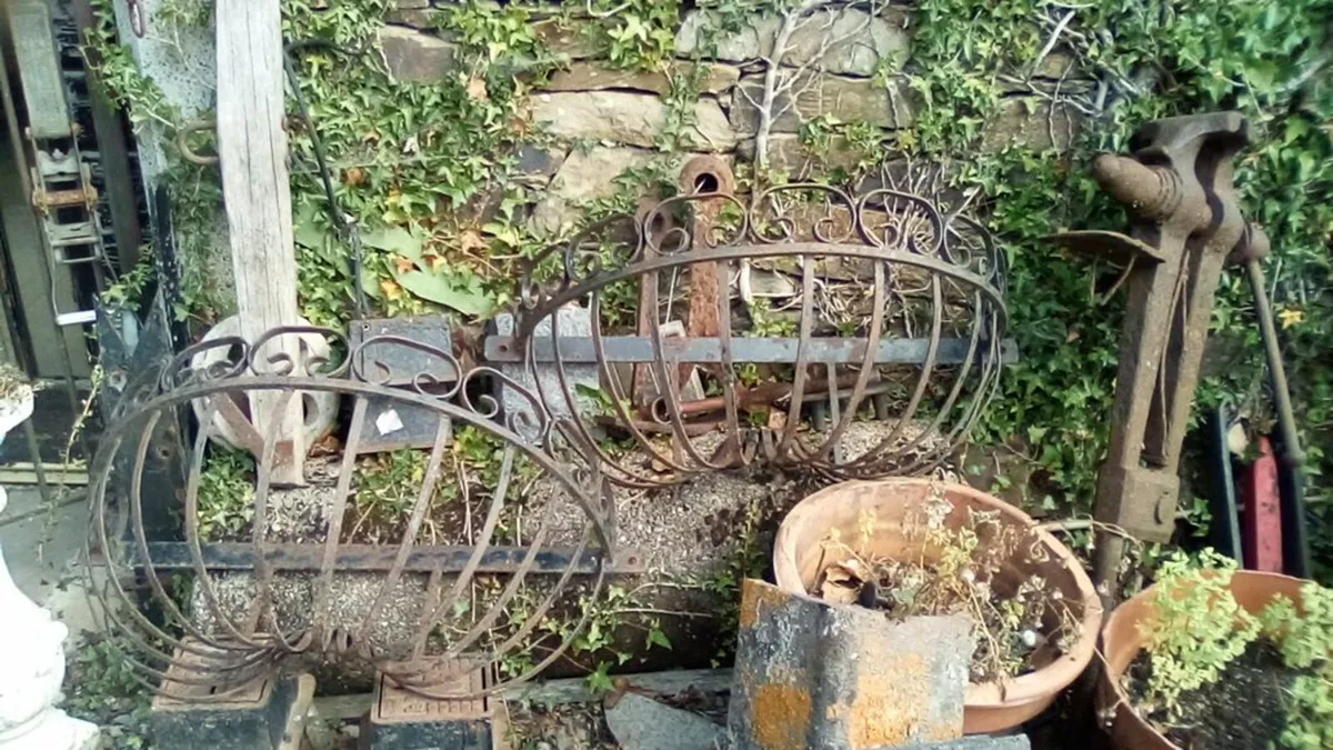 Gardening - Image 4