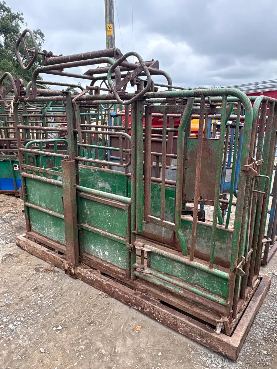 Tubar cattle crush - Image 1