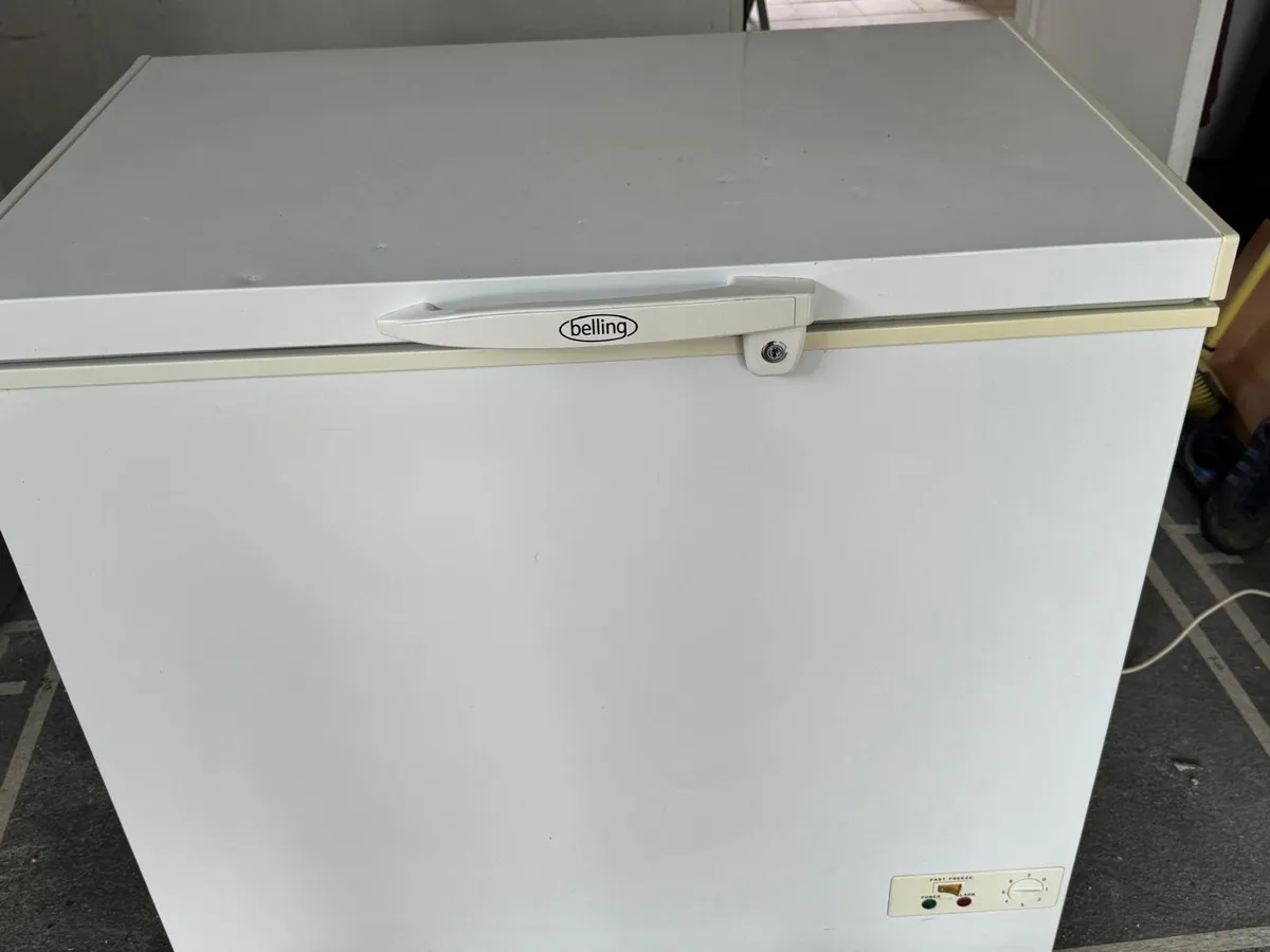 Chest Freezer 160litre - Image 1