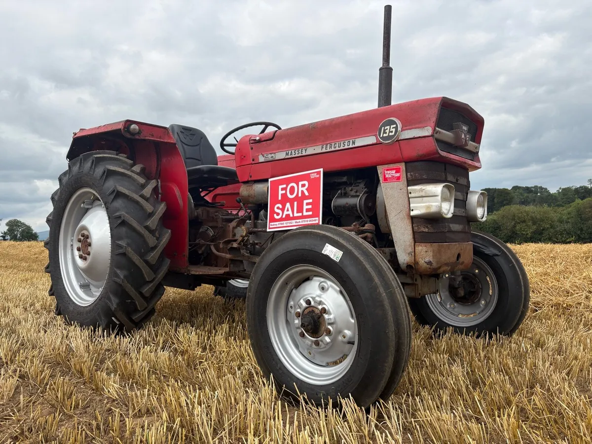 Massey Ferguson 135 1976 long shaft - Image 1