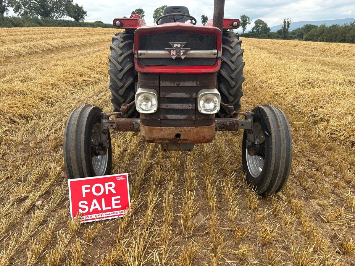 Massey Ferguson 135 1976 long shaft - Image 2