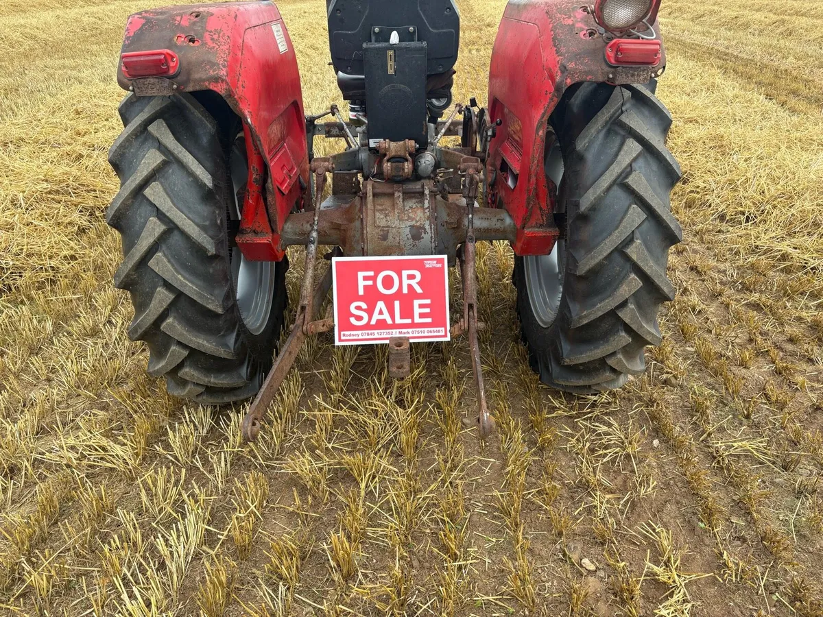Massey Ferguson 135 1976 long shaft - Image 3