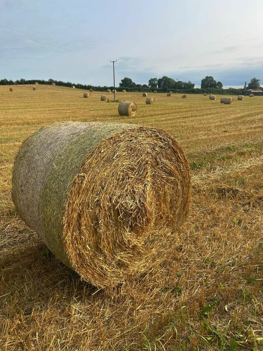Straw - Image 1