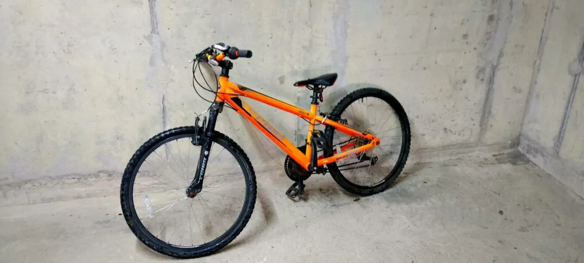Kids Mountain Bike - Image 1
