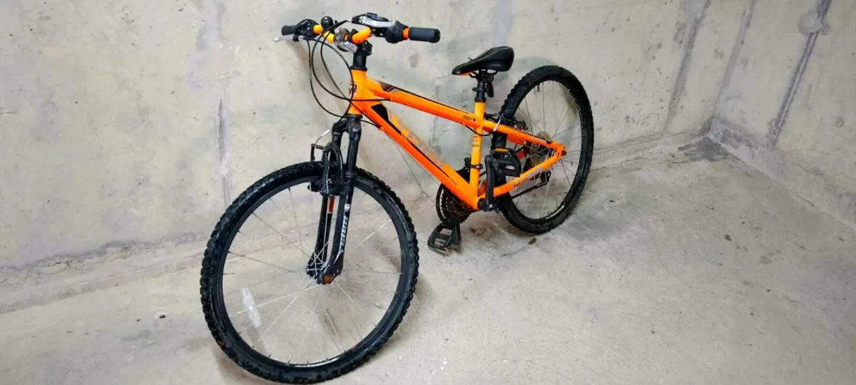 Kids Mountain Bike - Image 2