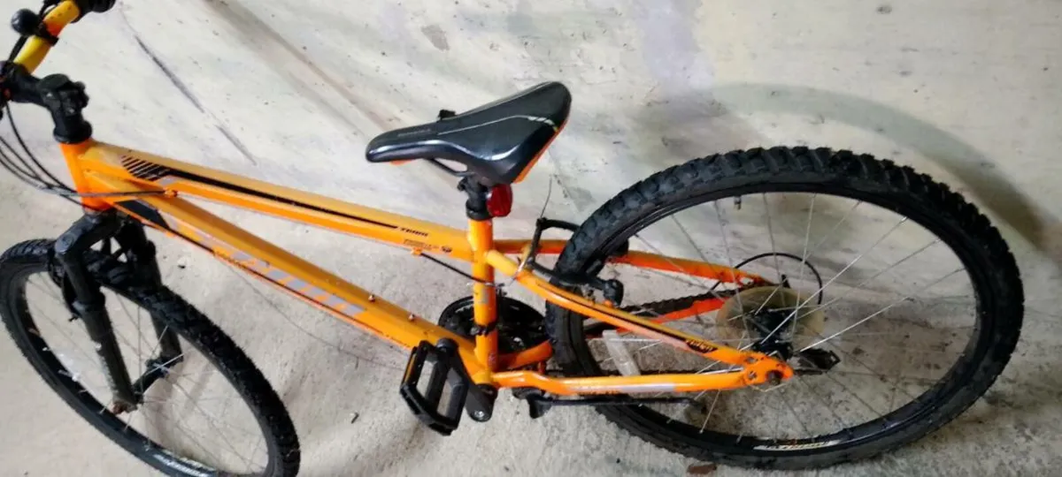 Kids Mountain Bike - Image 4