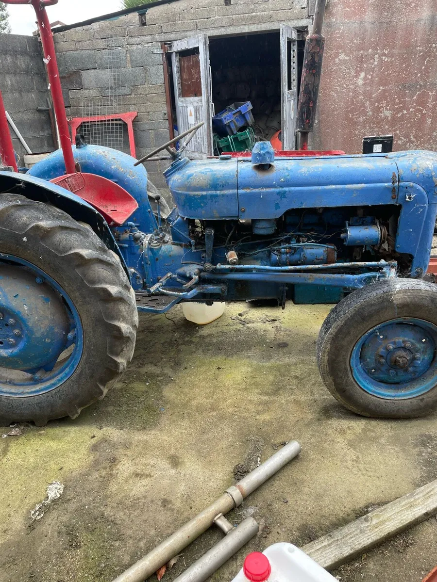 Ford Dexter - Image 2