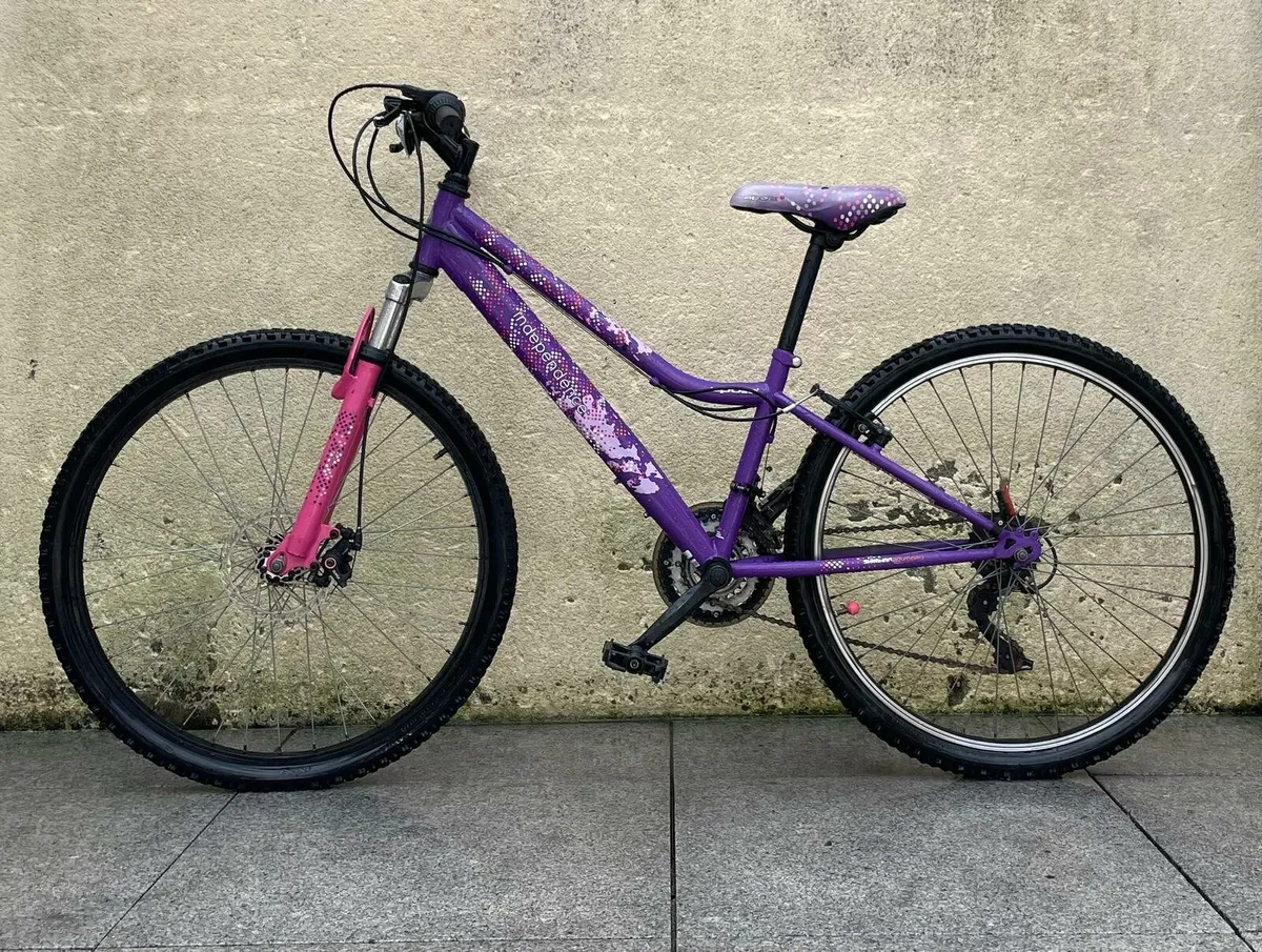 Apollo bicycle - Image 2