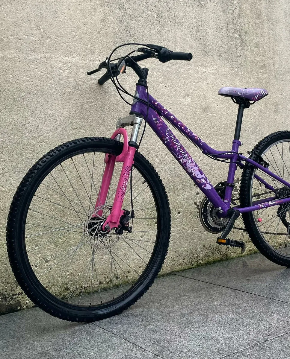 Apollo bicycle - Image 3