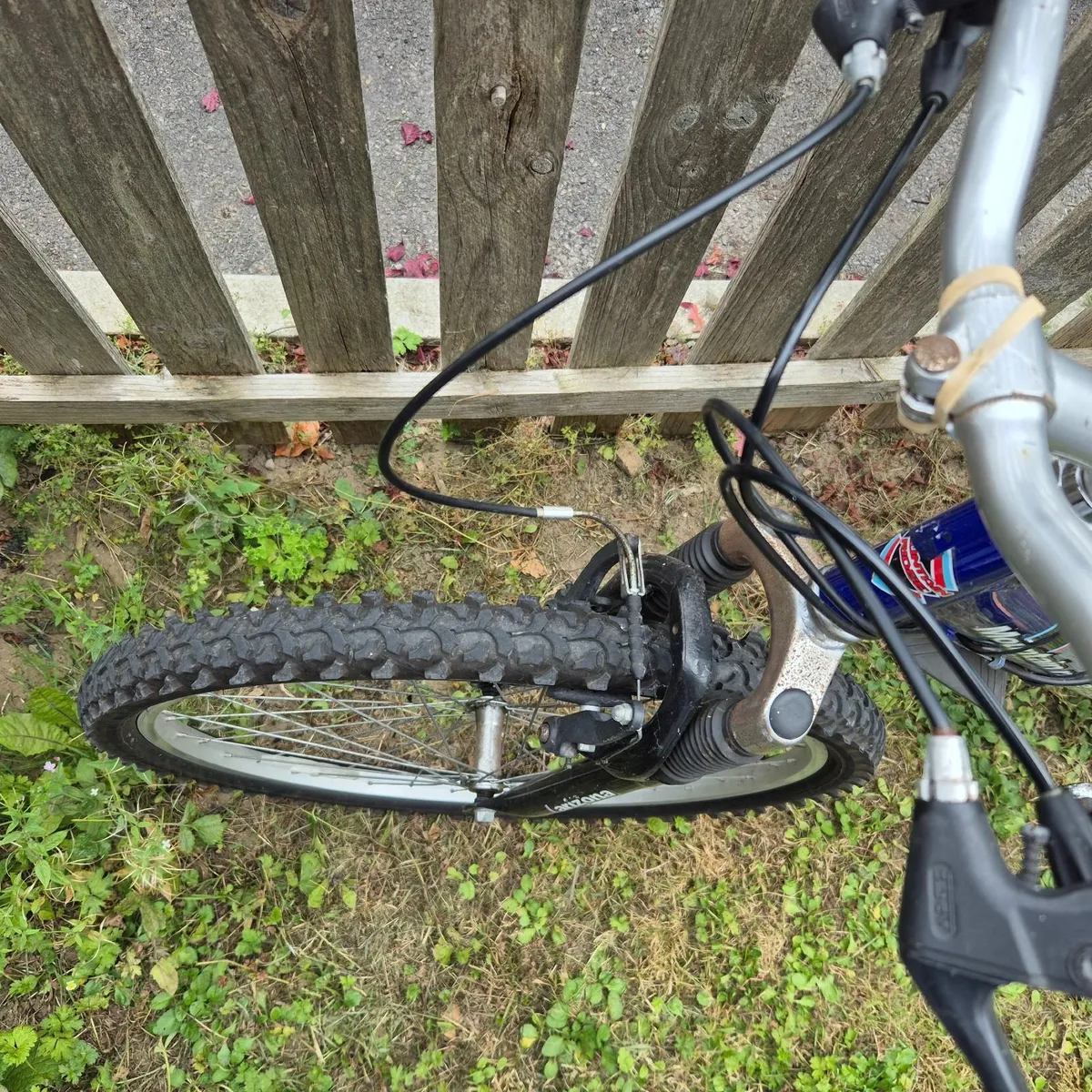 bicycle for 50 euros only - Image 2