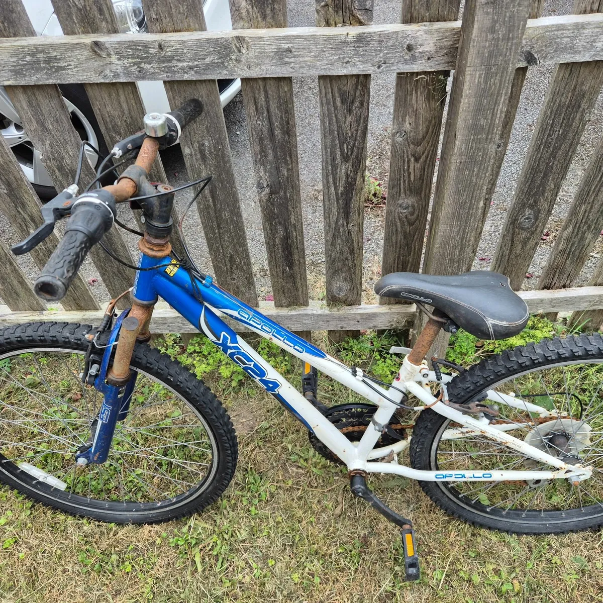 kid bicycle for 10 euros