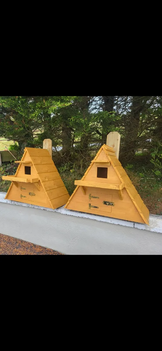 Owl Boxes - Image 1