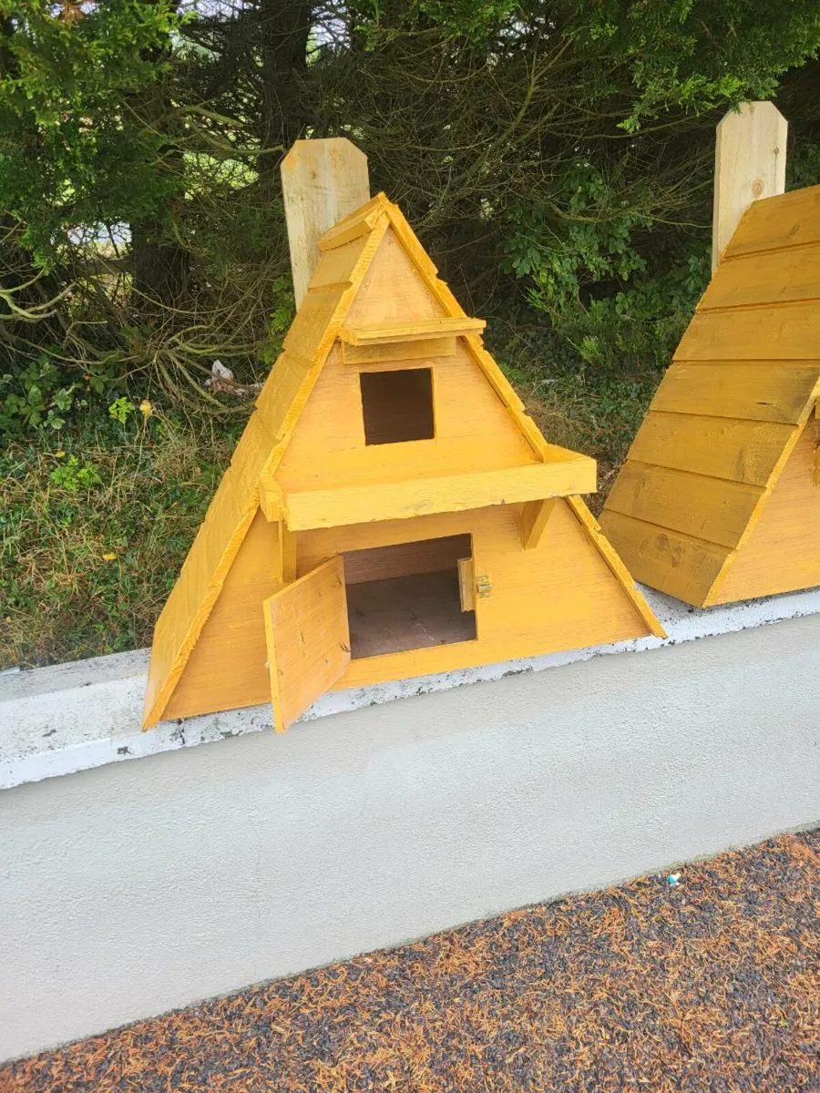 Owl Boxes - Image 2