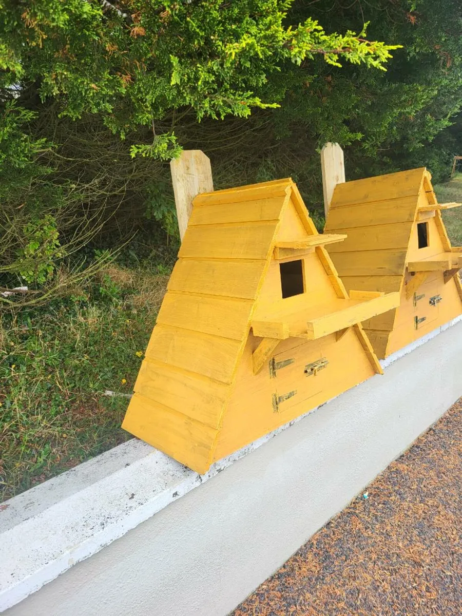 Owl Boxes - Image 3